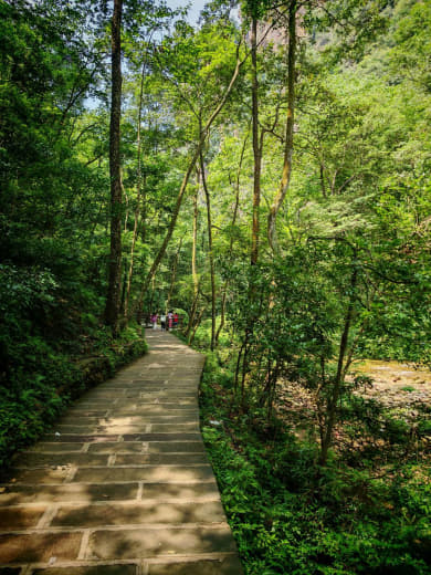 Naturaleza exuberante