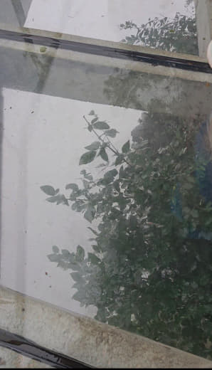 Pasarelas en la montaña