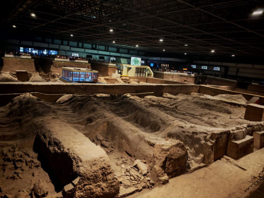 Guerreros en vitrina