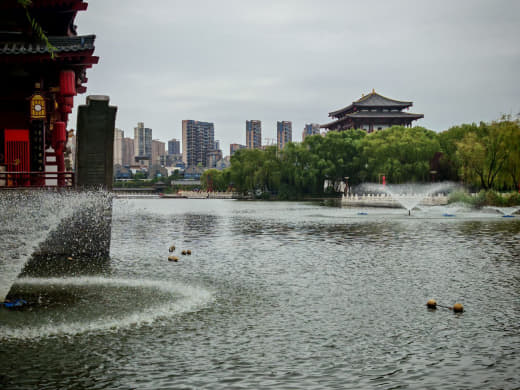 Jardines de Tang Paradise