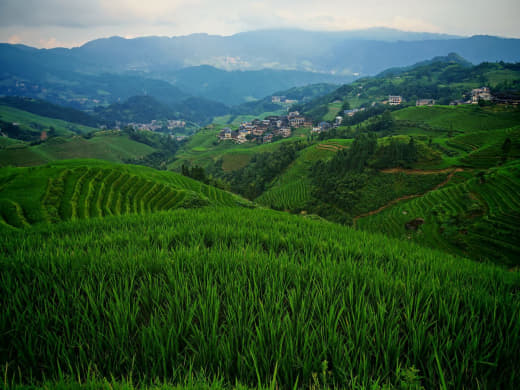 Vista panorámica de las terrazas