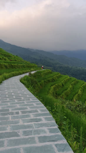 Detalle de las terrazas