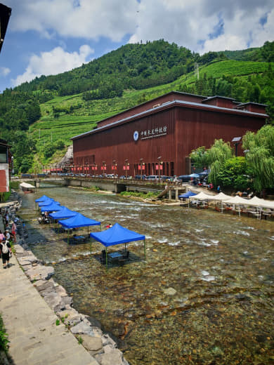 Refrescándose en el río