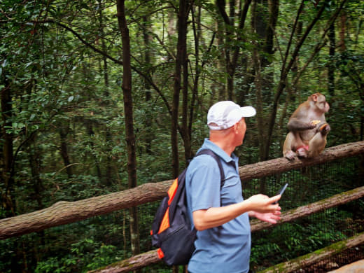 Vistas desde el tren